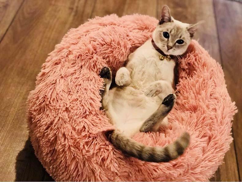 Cama Confortável para Cães e Gatos