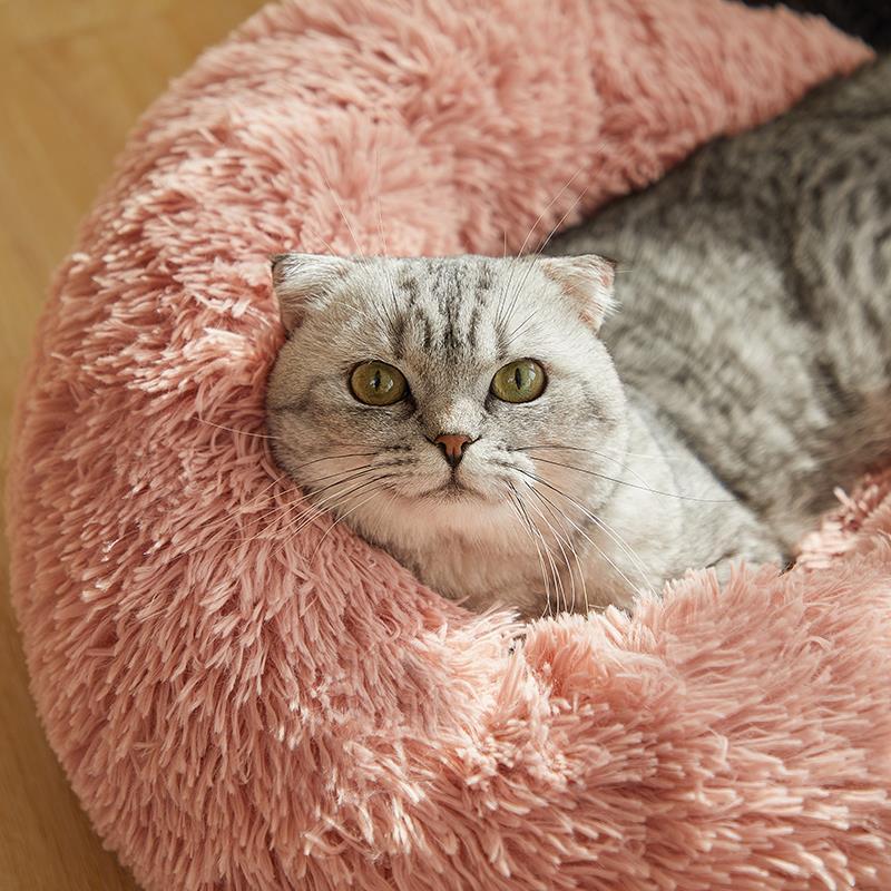 Cama Confortável para Cães e Gatos